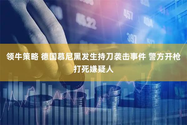 领牛策略 德国慕尼黑发生持刀袭击事件 警方开枪打死嫌疑人