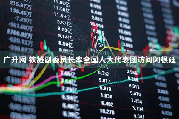 广升网 铁凝副委员长率全国人大代表团访问阿根廷