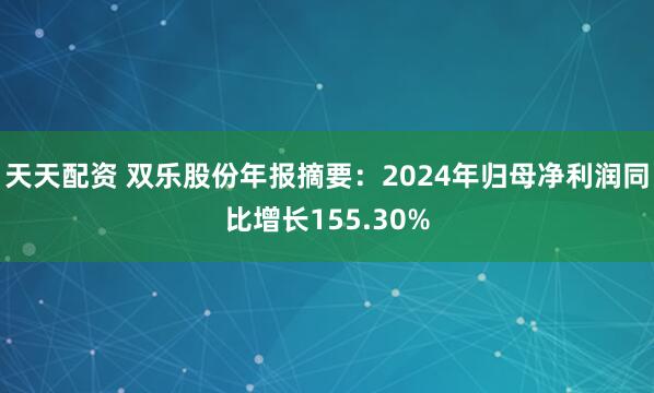 天天配资 双乐股份年报摘要：2024年归母净利润同比增长155.30%