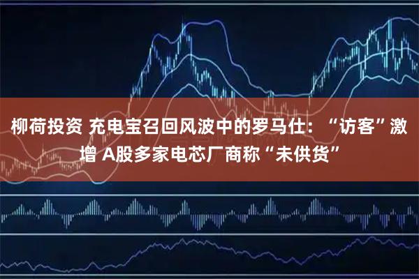 柳荷投资 充电宝召回风波中的罗马仕：“访客”激增 A股多家电芯厂商称“未供货”