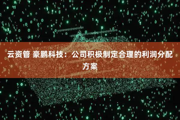 云资管 豪鹏科技：公司积极制定合理的利润分配方案